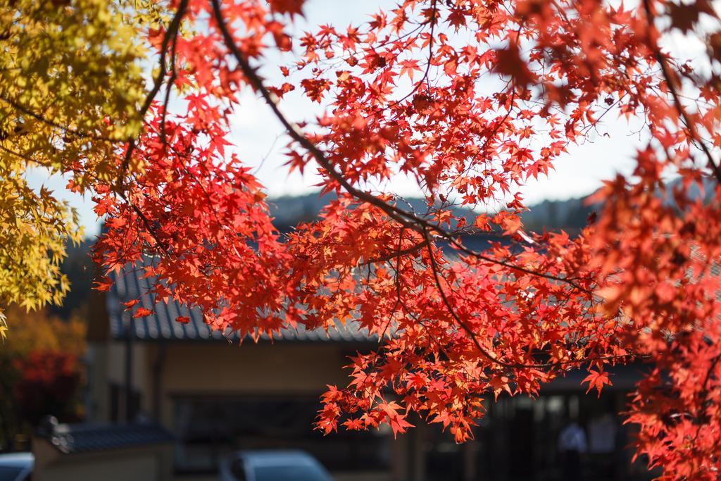 青梅市 青梅石神温泉日式旅馆酒店 外观 照片